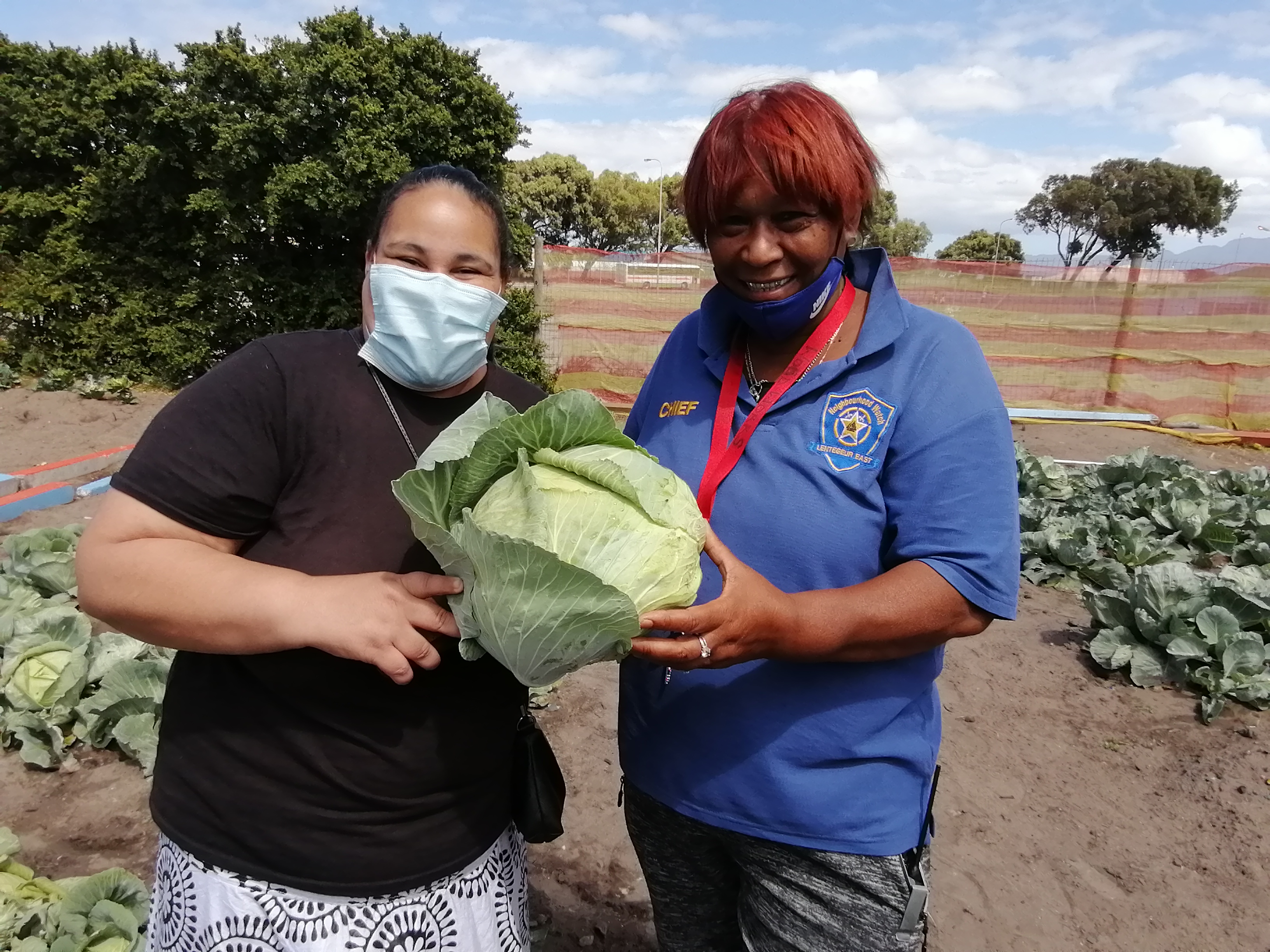 IMG_20210215_112819 IMG_20210215_112819